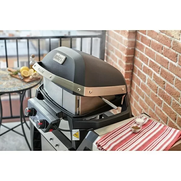BAUHAUS Weber Drehspieß Passend Für: Weber Grill Pulse 1000 3